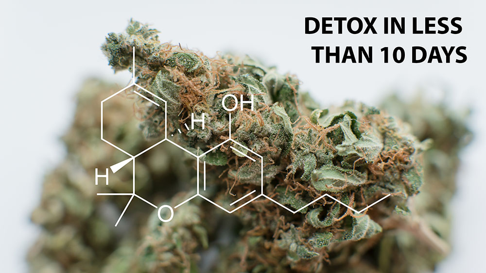 best-thc-detox-kits