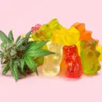 A Delicious Guide to Delta-8 Edibles for Relaxation