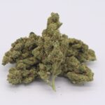 Unlocking The Potential Of THCa Flower: Enhancing Sleep for Restful Nights