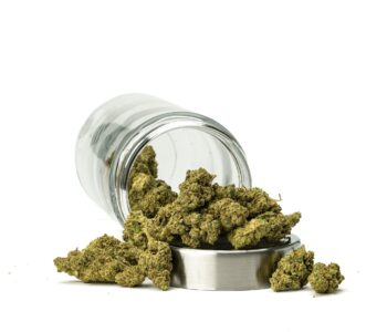 High-THCa-Mac-01-Ounce